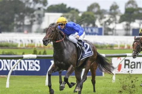 Tramway Stakes 2024 Tips, Betting & Results .